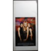 FATAL INSTINCT - Reiner - Young, Assante - LOCANDINA ORIGINALE 1993