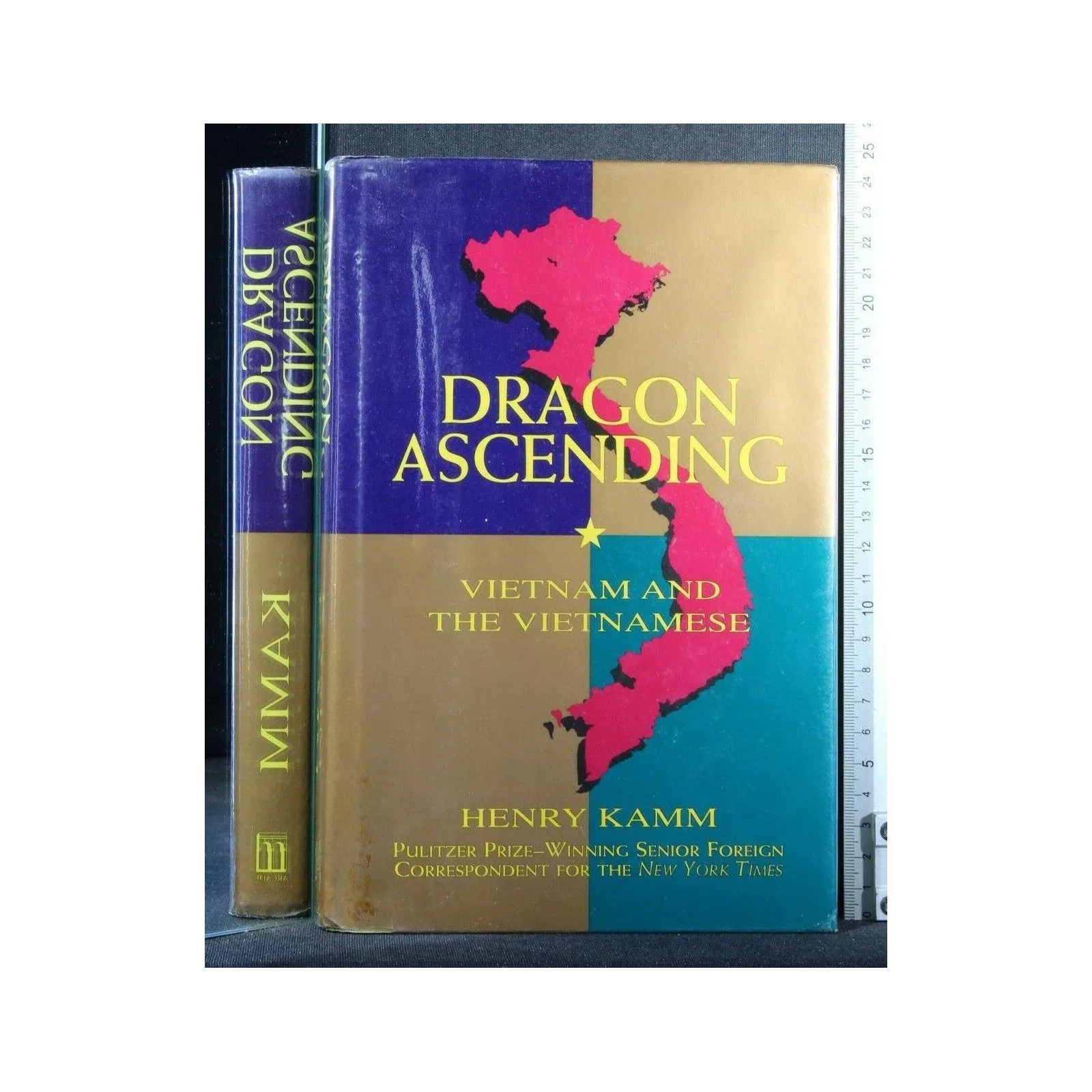 DRAGON ASCENDING VIETNAM AND THE VIETNAMESE