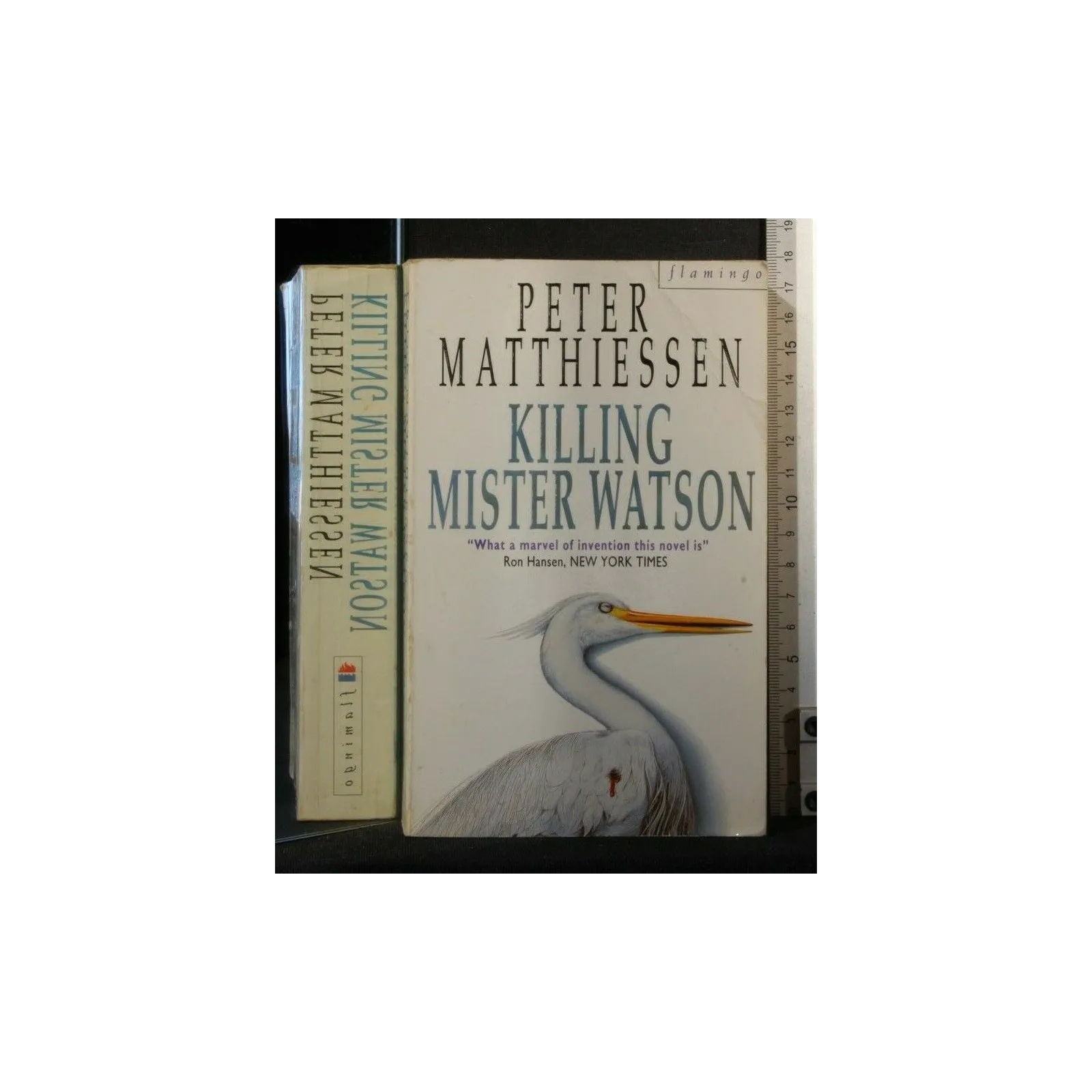 KILLING MISTER WATSON