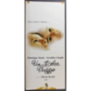 LA DONNA DEL TENENTE FRANCESE - Reisz - Streep, Irons - LOCANDINA ORIGINALE 1981