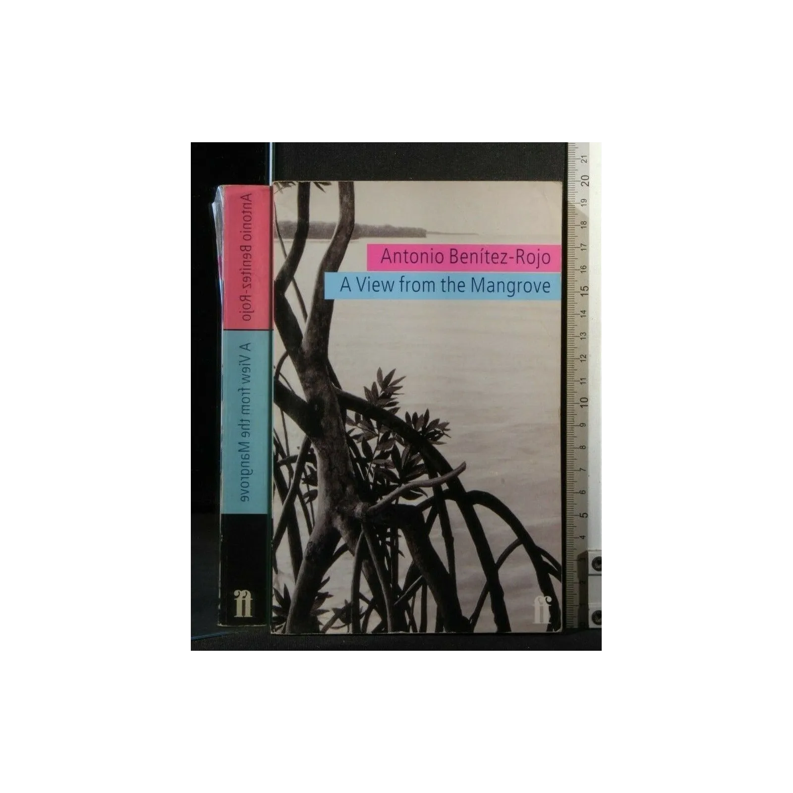 A VIEW FROM THE MANGROVE