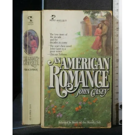 AN AMERICAN ROMANCE