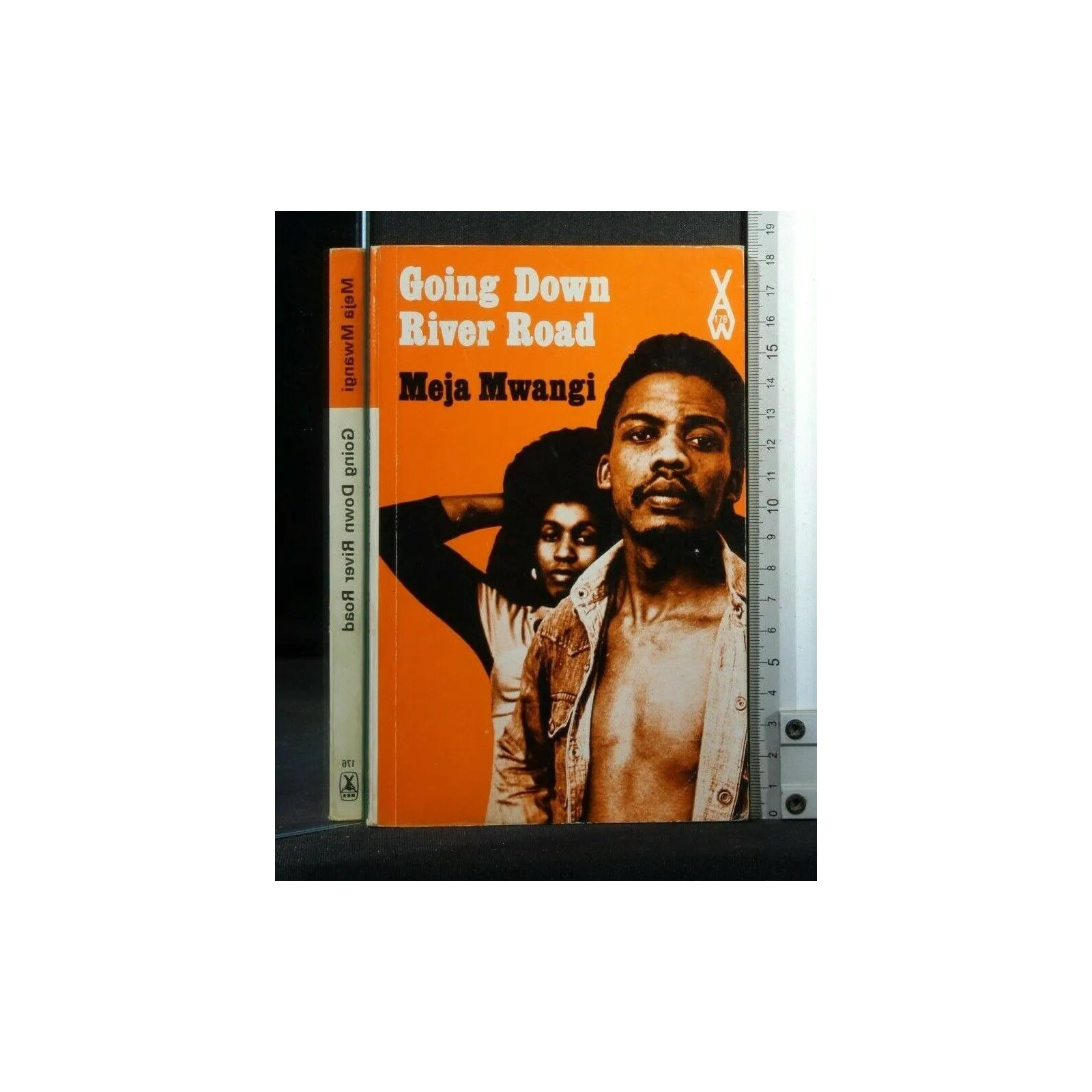 GOING DOWN RIVER ROAD