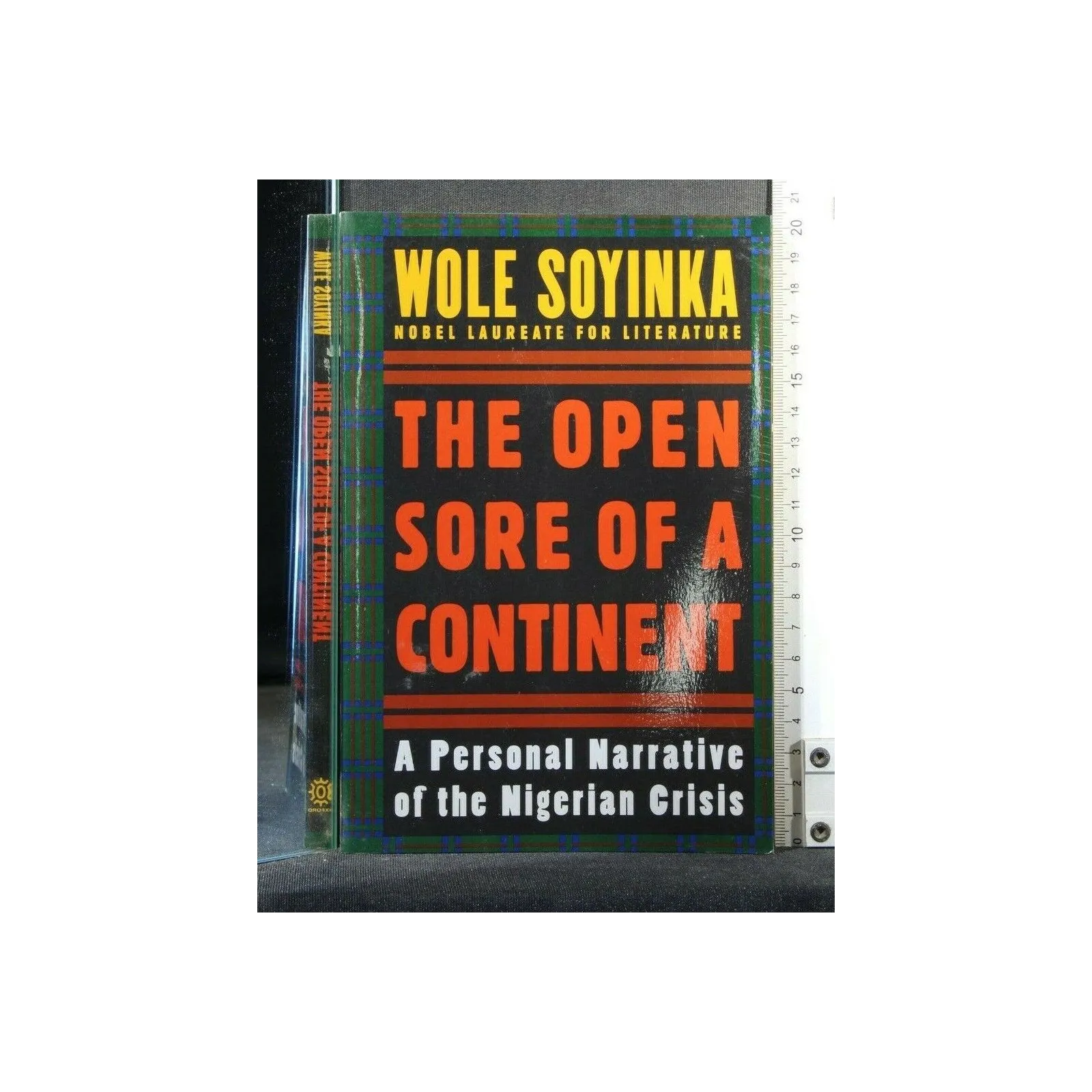 THE OPEN SORE OF A CONTINENT