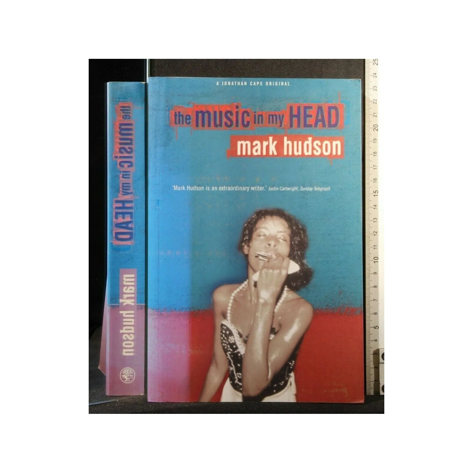 THE MUSIC IN MY HEAD