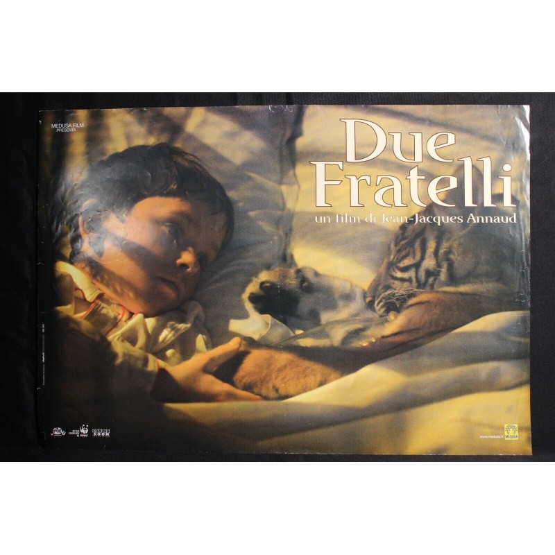 LA DEA DELL'AMORE - Woody Allen - Allen, Sorvino - FOTOBUSTA ORIGINALE 1995