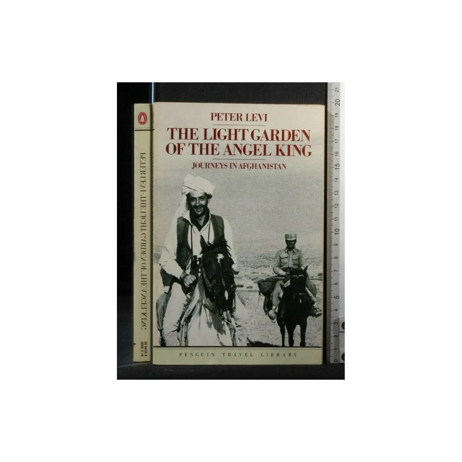 THE LIGHT GARDEN OF THE ANGEL KING