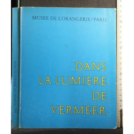 DANS LA LUMIERE DE VERMEER