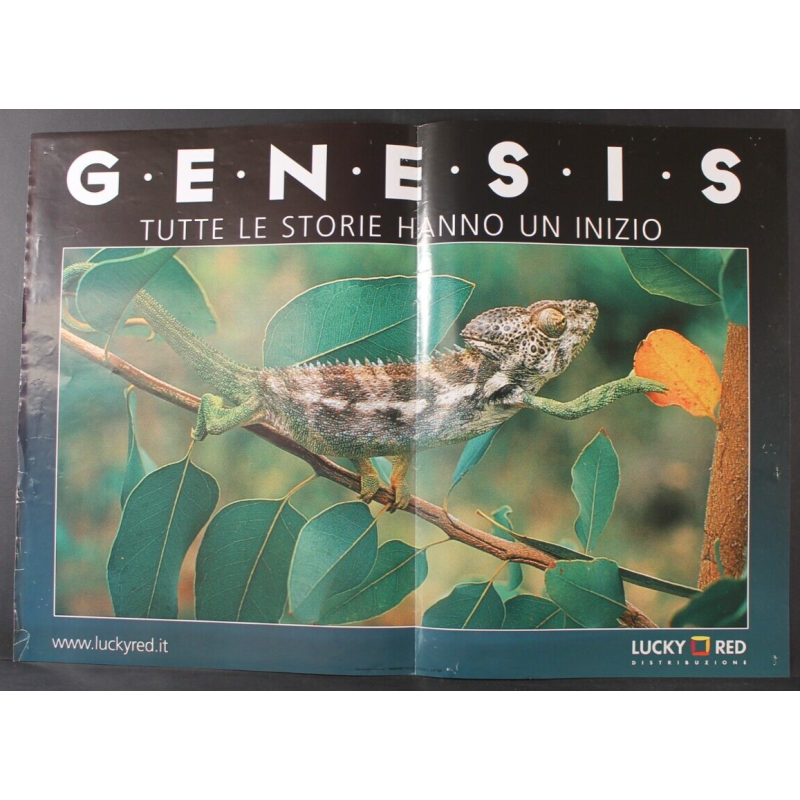 GENESIS TUTTE LE STORIE HANNO UN INIZIO - Pérennou - FOTOBUSTA ORIGINALE 2005