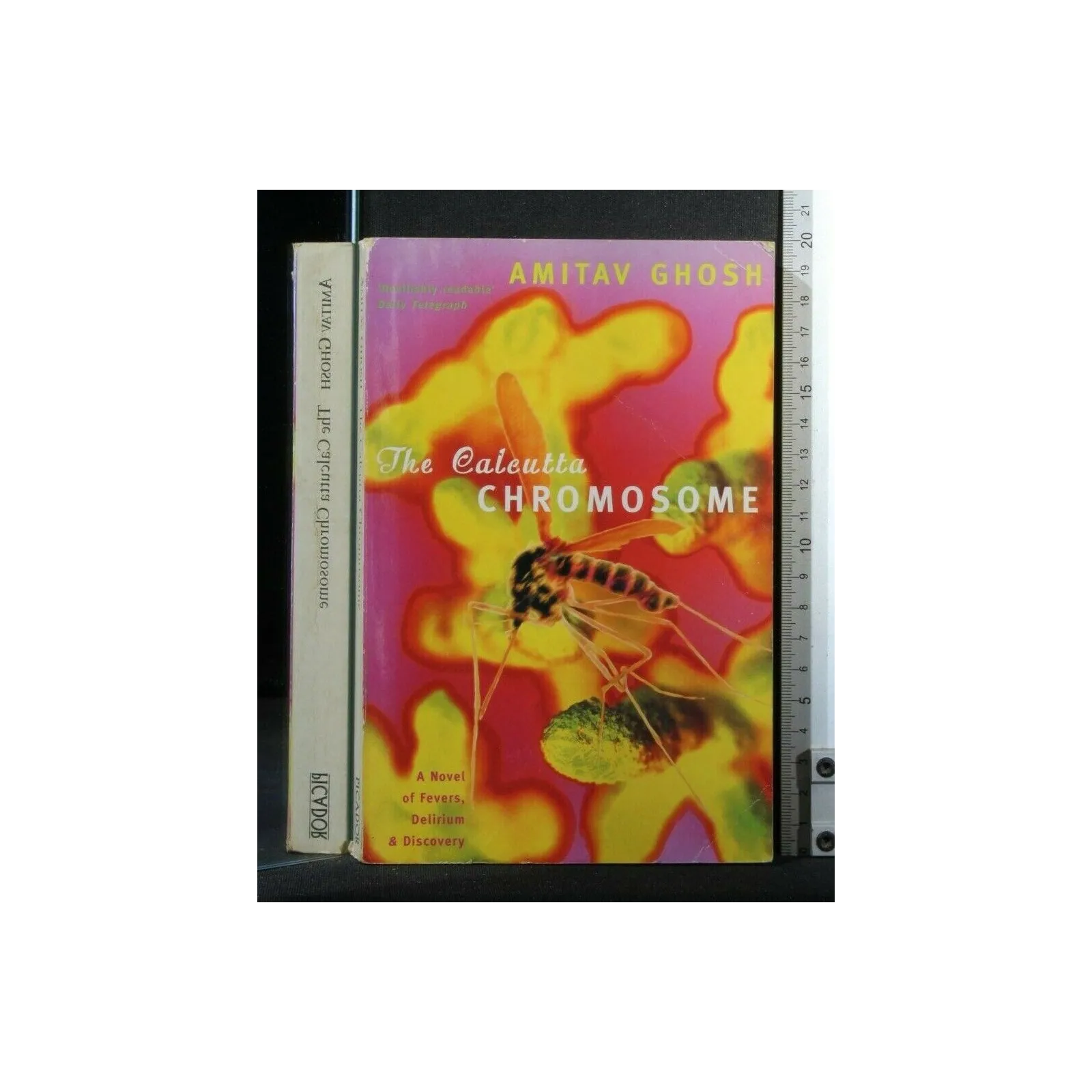 THE CALCUTTA CHROMOSOME