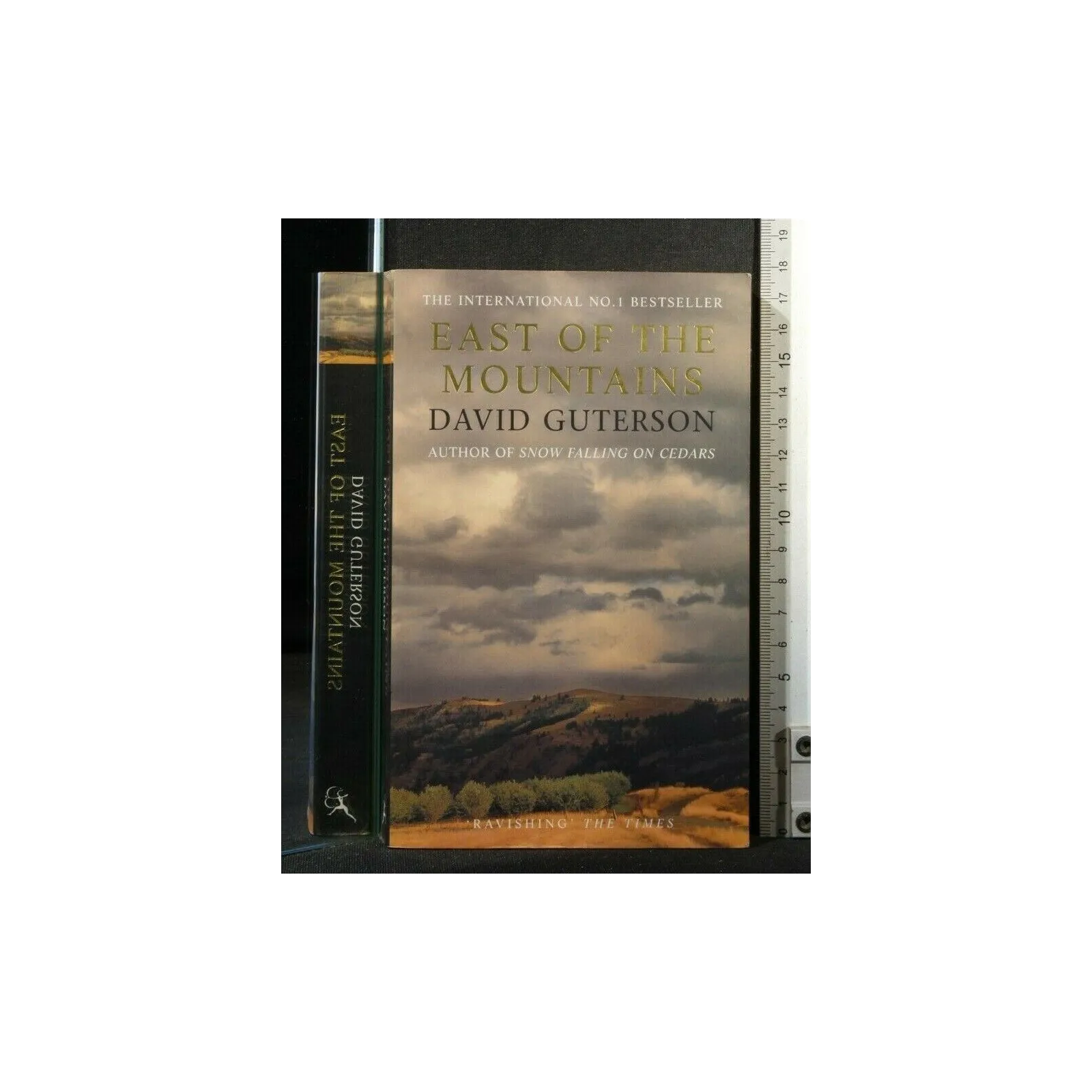 EAST OF THE MOUNTAINS