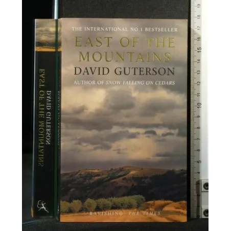 EAST OF THE MOUNTAINS
