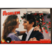 NO PROBLEM - Salemme - Salemme, Panariello - FOTOBUSTA ORIGINALE 2008
