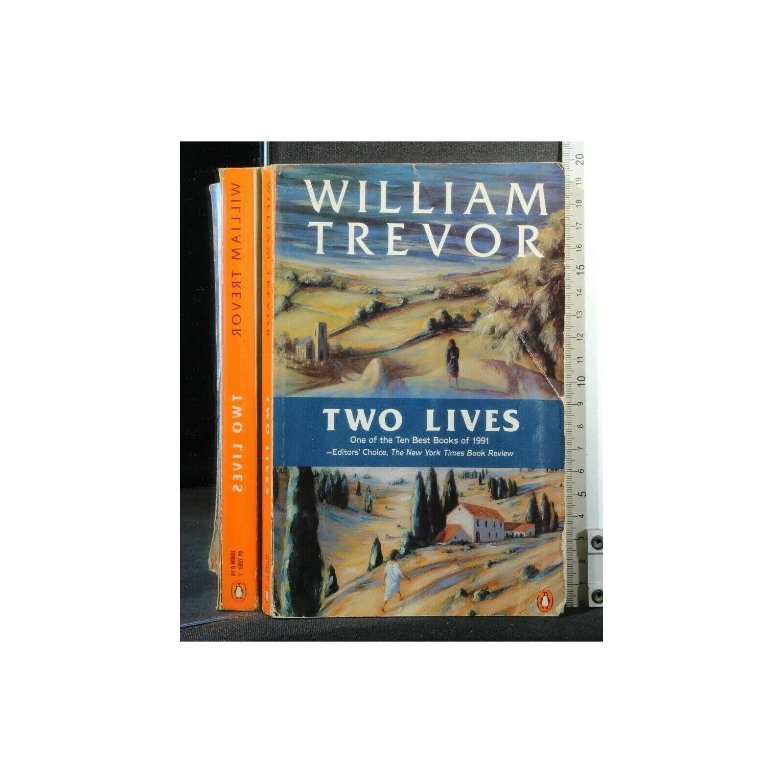 TWO LIVES