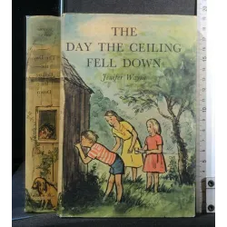 THE DAY THE CEILING FELL DOWN