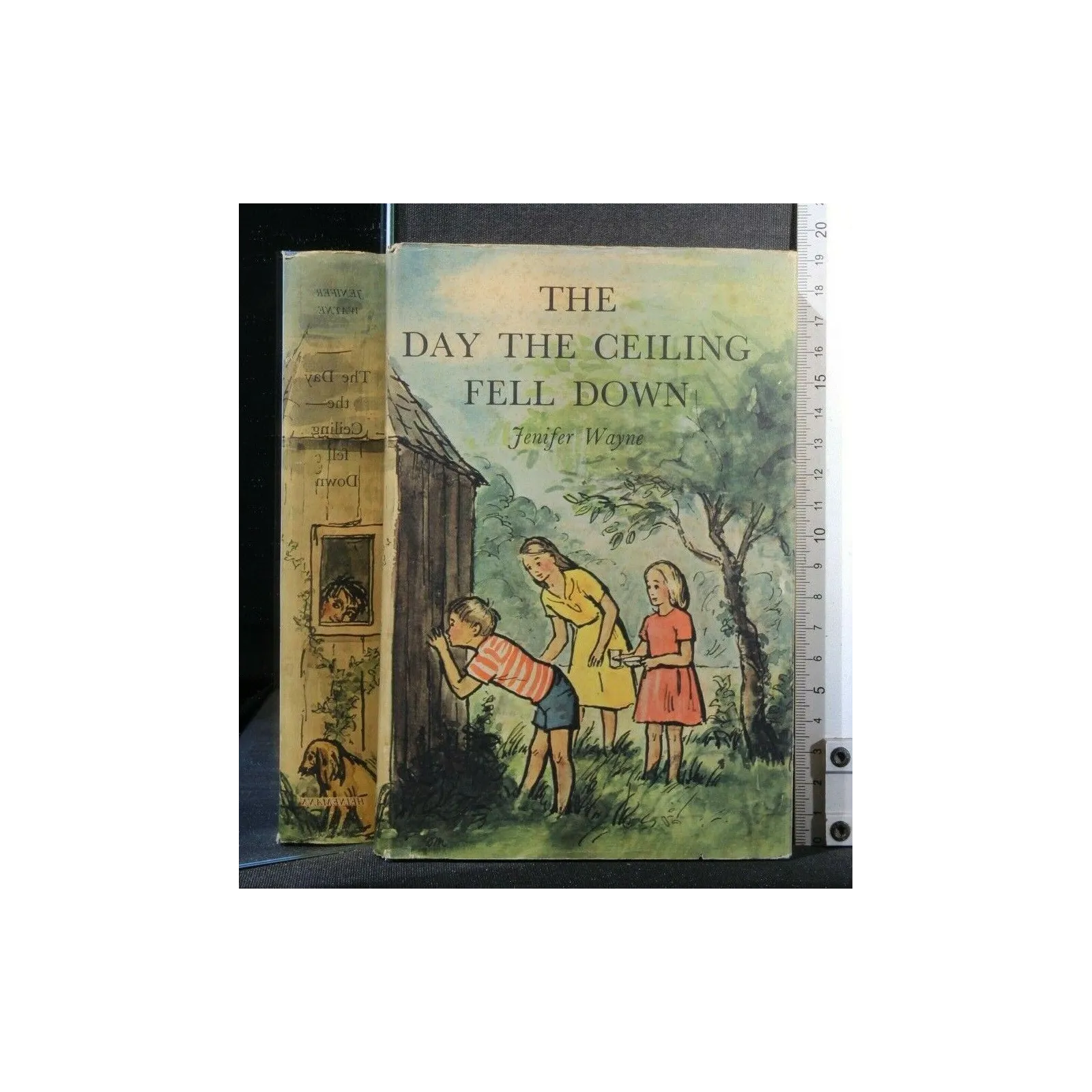 THE DAY THE CEILING FELL DOWN