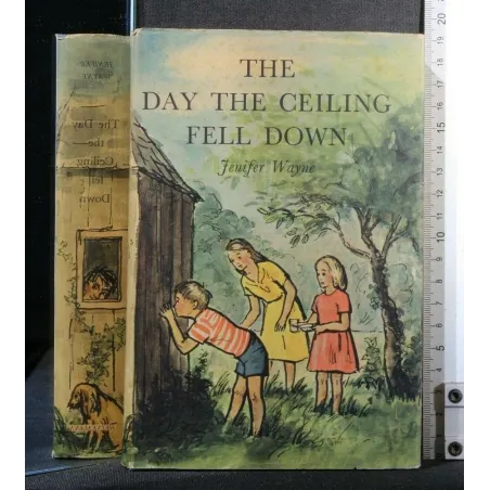 THE DAY THE CEILING FELL DOWN