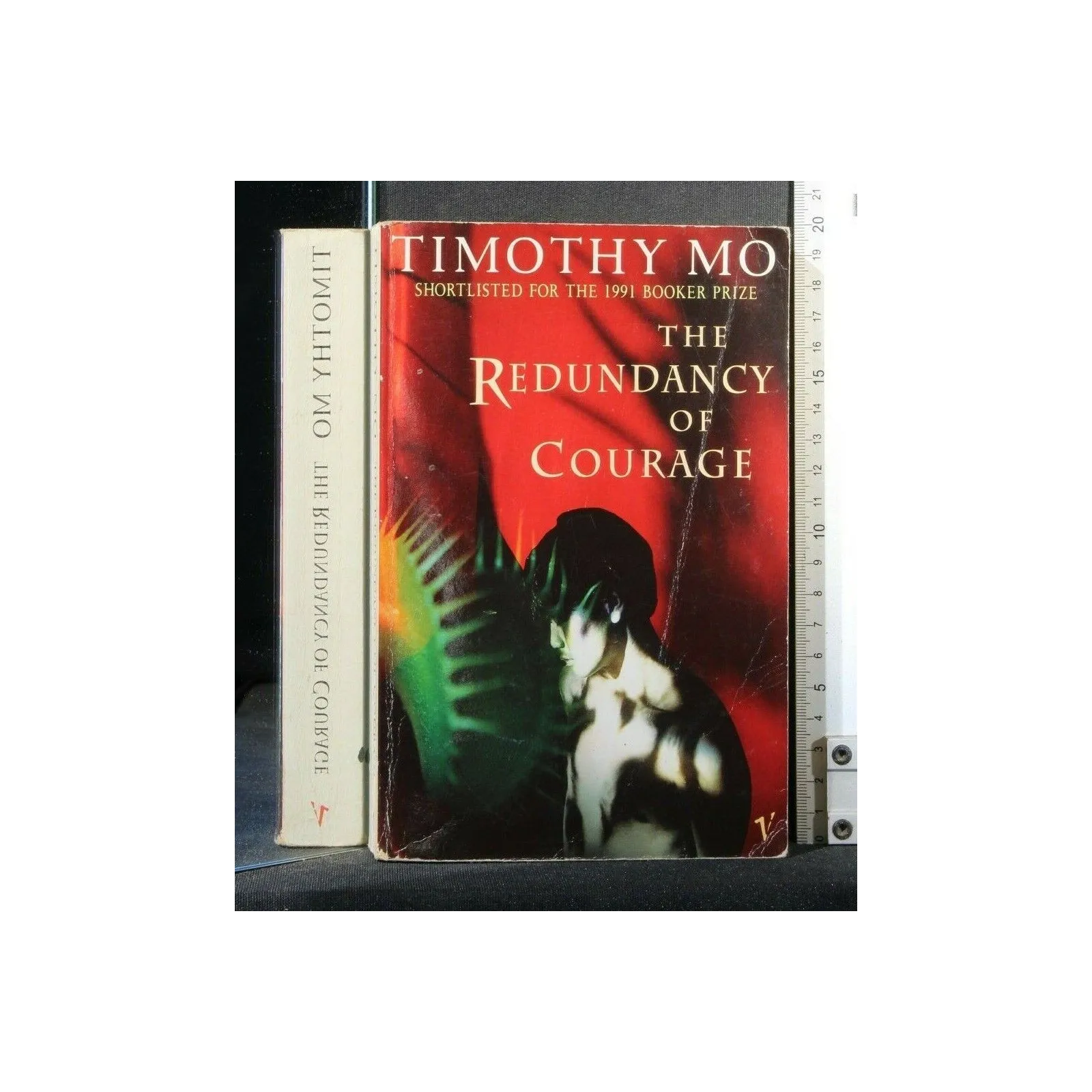 THE REDUNDANCY OF COURAGE