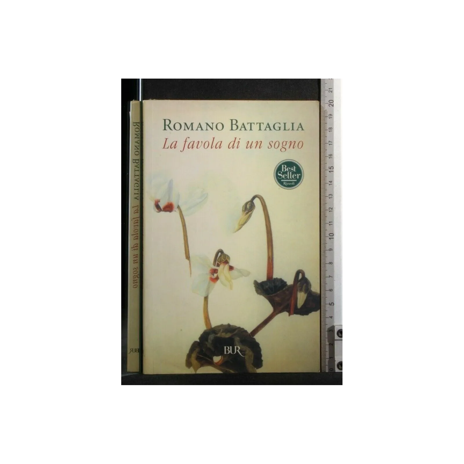 LA FAVOLA DI UN SOGNO