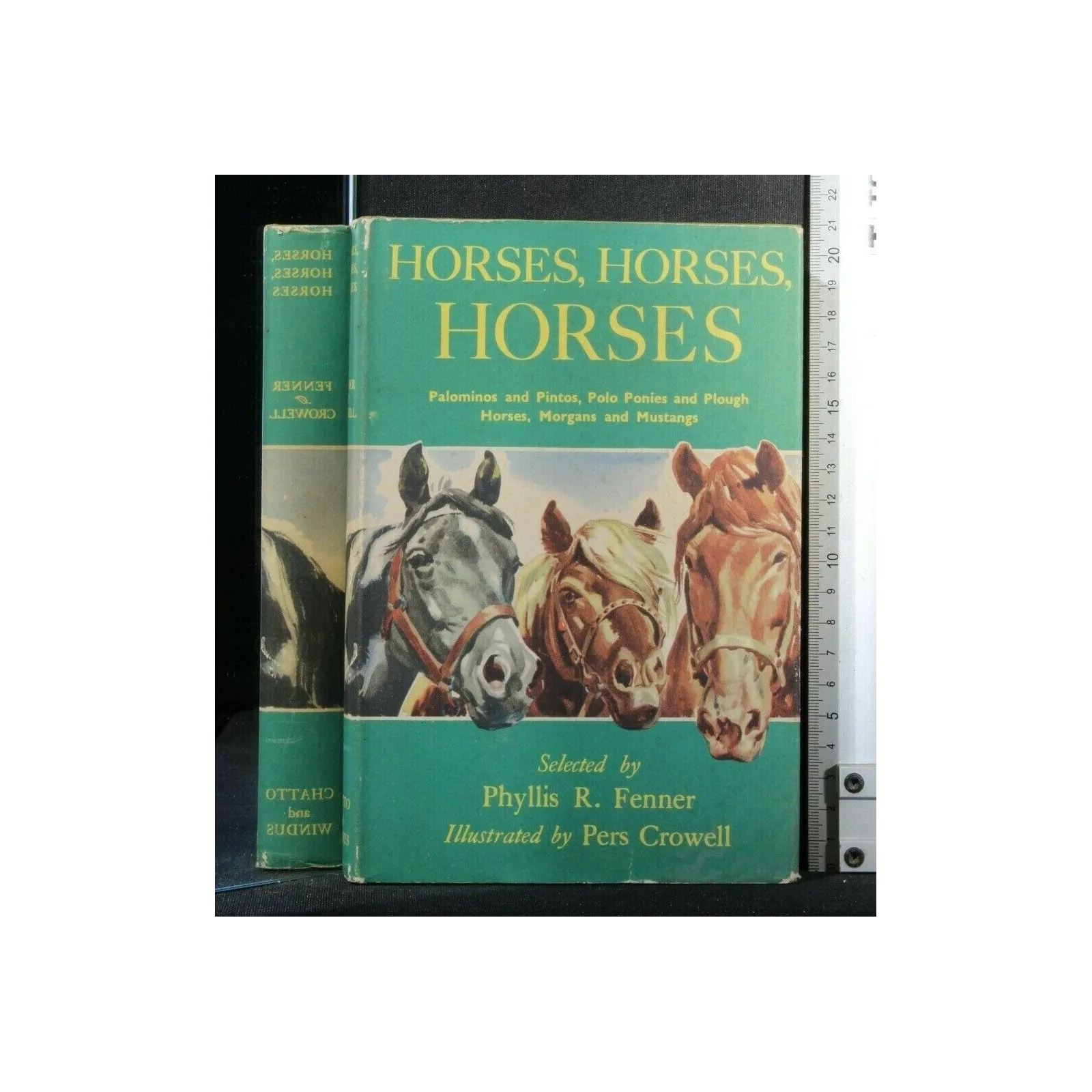 HORSES, HORSES, HORSES