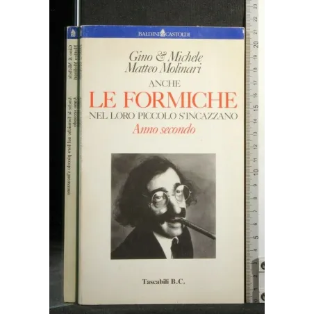 ANCHE LE FORMICHE NEL LORO PICCOLO S'INCAZZANO ANNO SECONDO
