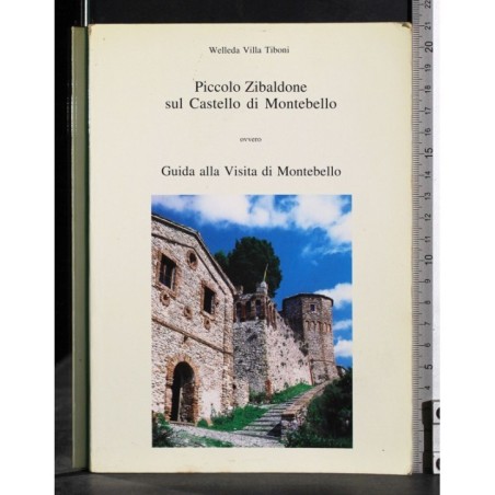 Piccolo Zibaldone sul Castello di Montebello