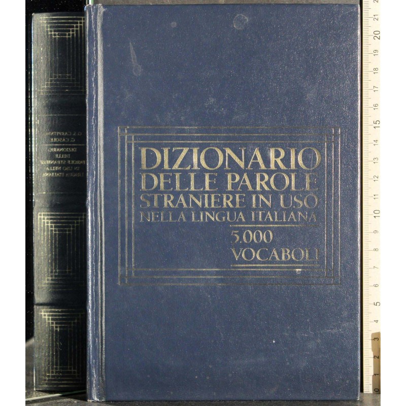 Dizionario delle parole straniere