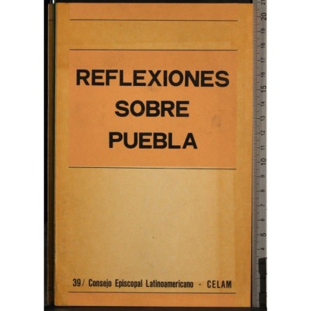 Reflexiones sobre puebla
