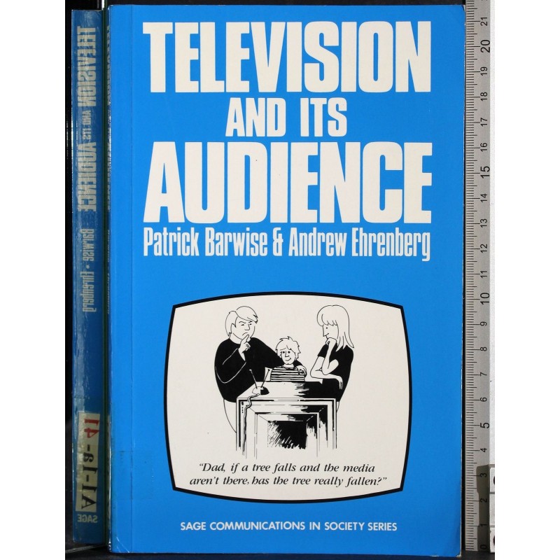 Television and its audience