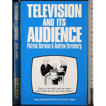 Television and its audience