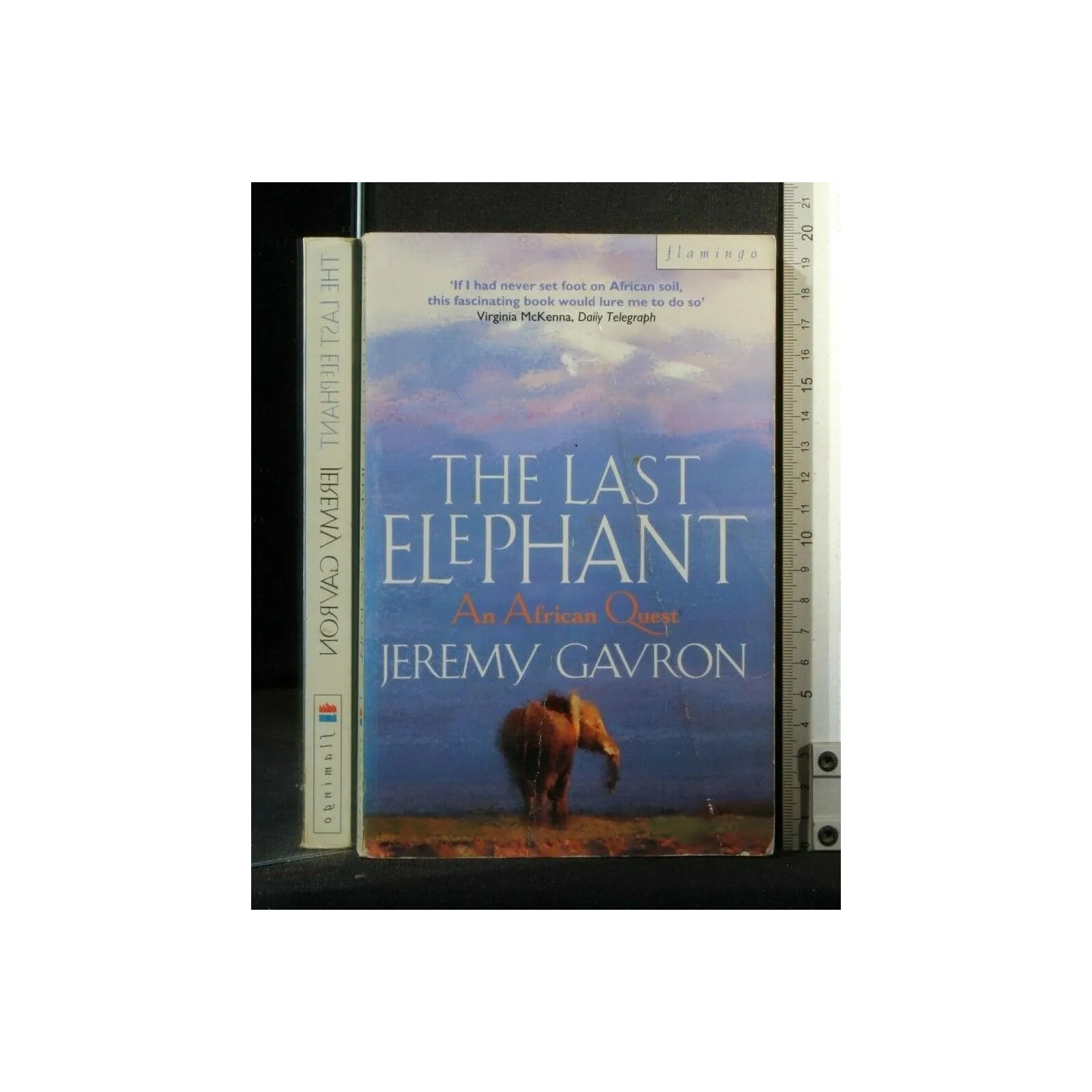 THE LAST ELEPHANT AN AFRICAN QUEST