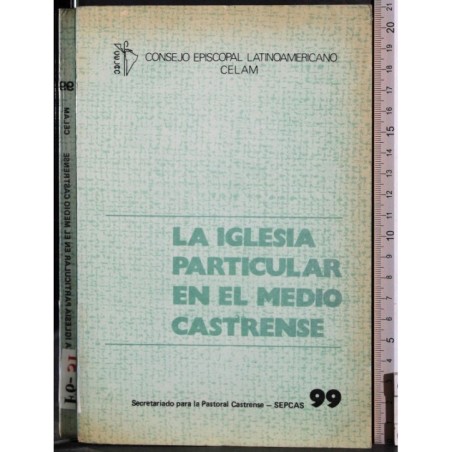 La iglesia particular en el medio castrense