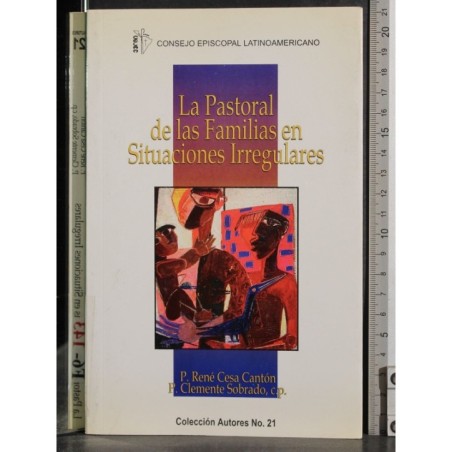 La pastoral de las familias en situaciones Irregulares