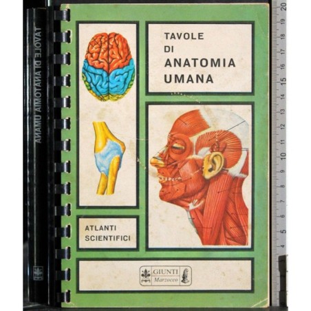 Tavole di anatomia umana
