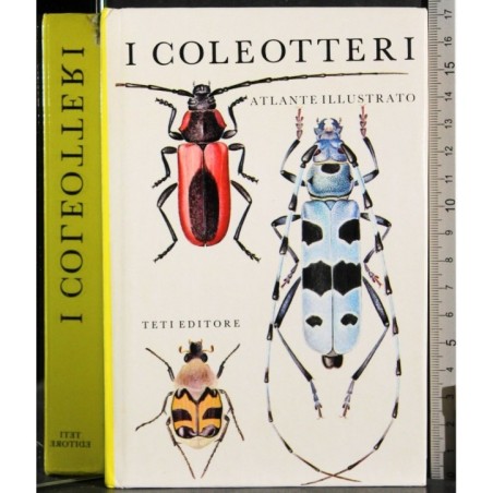I coleotteri
