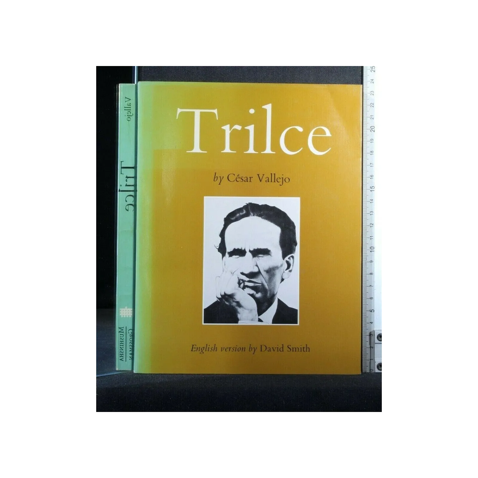 TRILCE ENGLISH VERSION