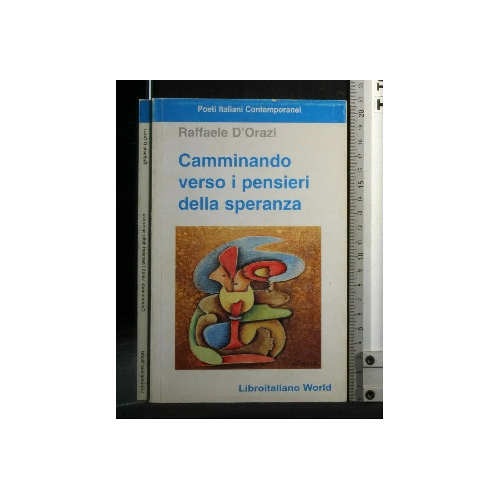 CAMMINANDO VERSO I PENSIERI DELLA SPERANZA