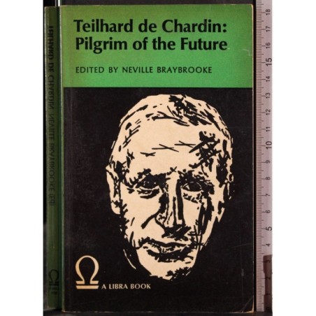Teilhard de Chardin: Pilgrim of the Future