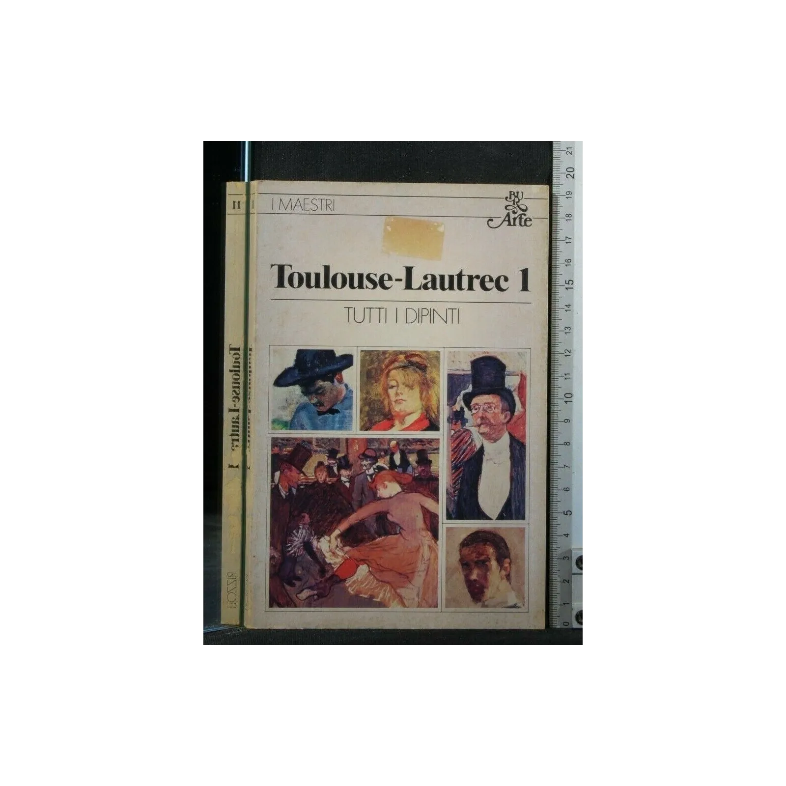 TUTTI I DIPINTI VOL 1