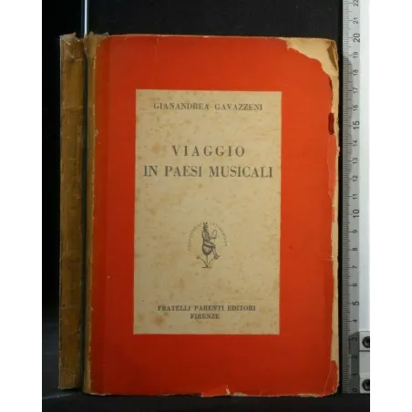 VIAGGIO IN PAESI MUSICALI