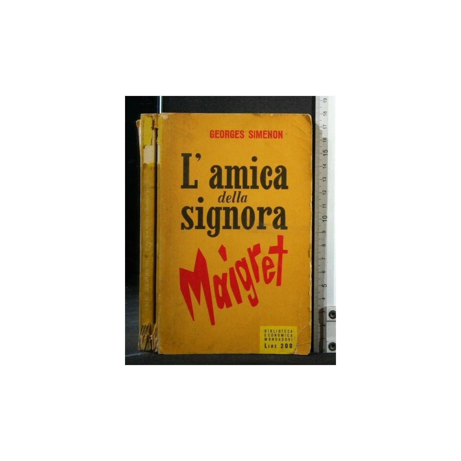 L'AMICA DELLA SIGNORA MAIGRET
