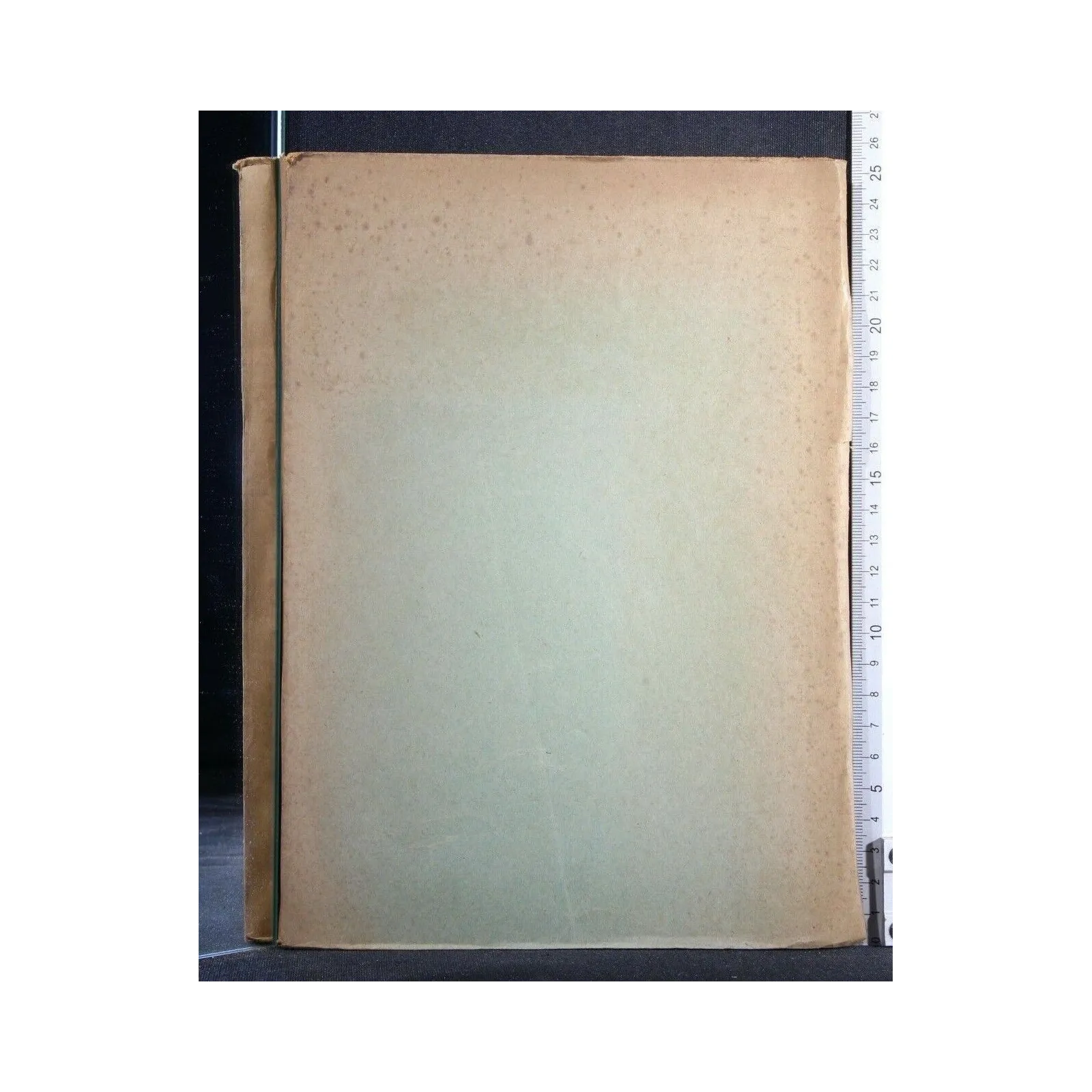 LE INFEZIONI GENERALIZZATE DA PIOGENI