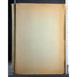 LE EPATITI CRONICHE (COMPRESE LE CIRROSI)