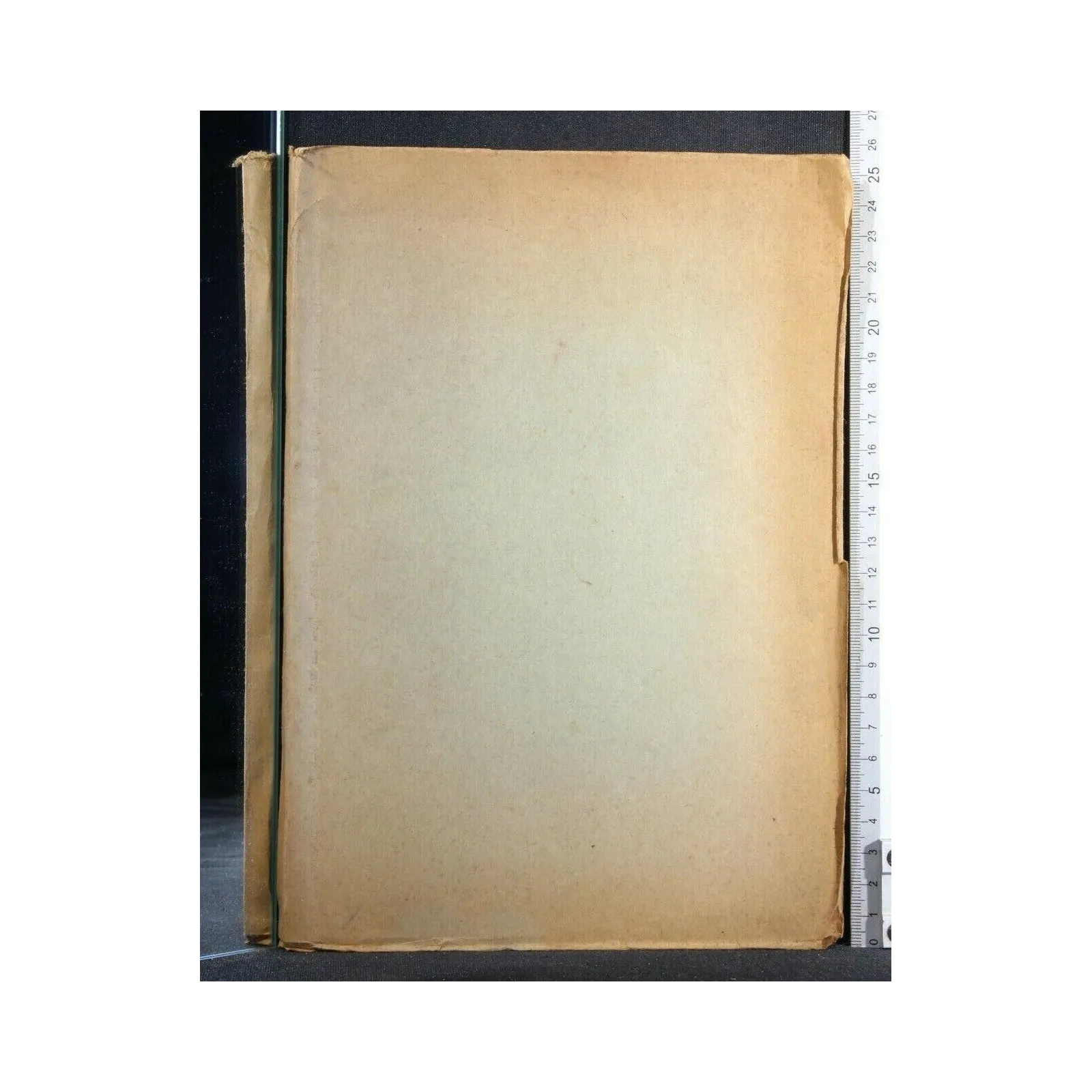 LE EPATITI CRONICHE (COMPRESE LE CIRROSI)