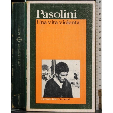 Una vita violenta