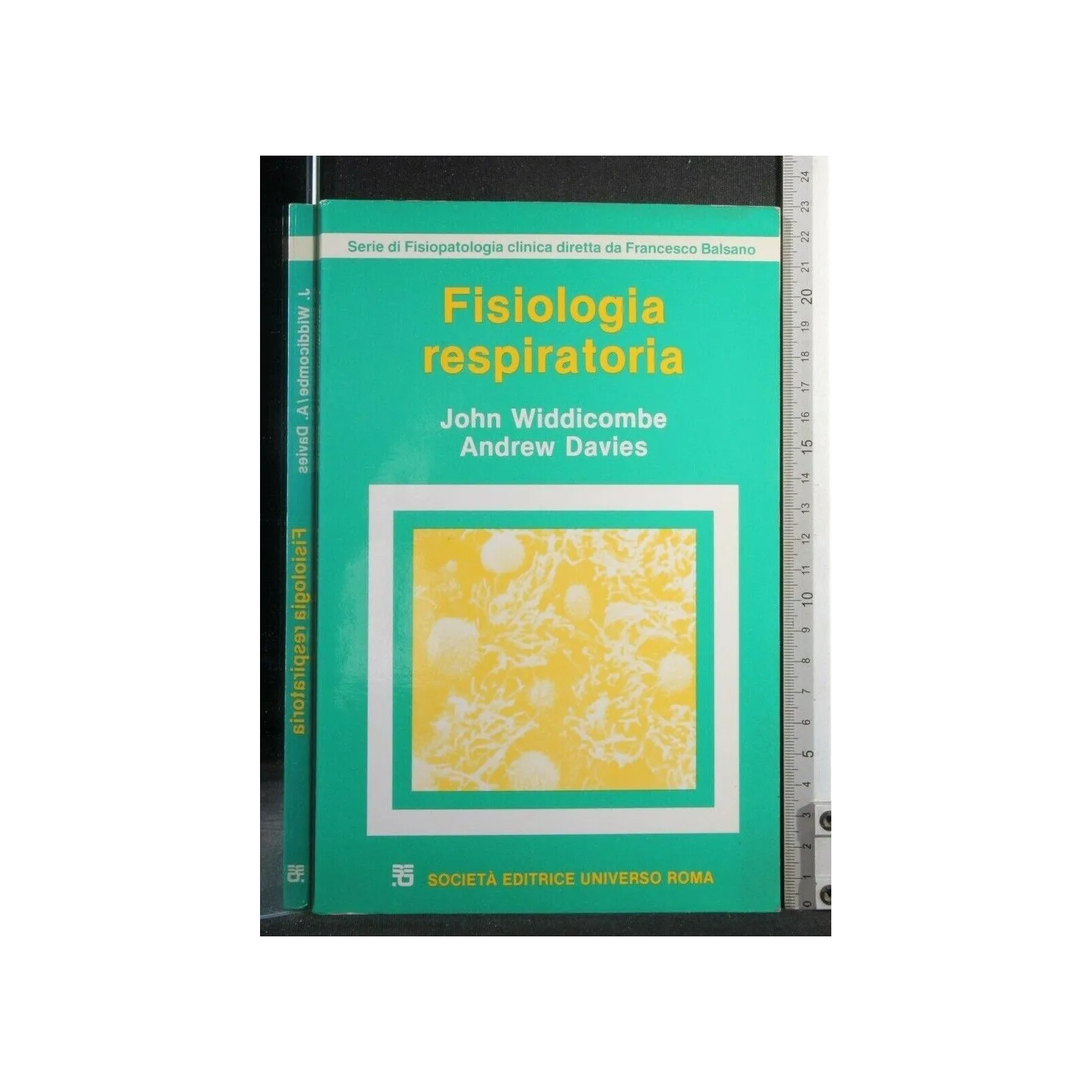 FISIOLOGIA RESPIRATORIA