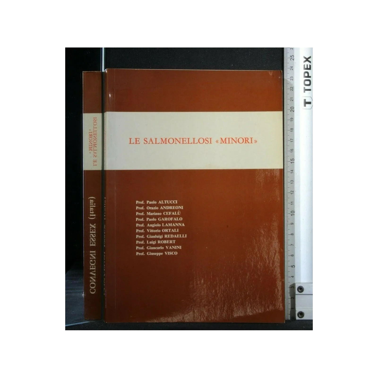 LE SALMONELLOSI "MINORI" _x000D_