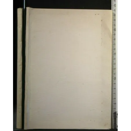 I TUMORI DEL COLLO NEL BAMBINO