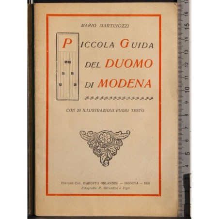 Piccola guoda del duomo di Modena