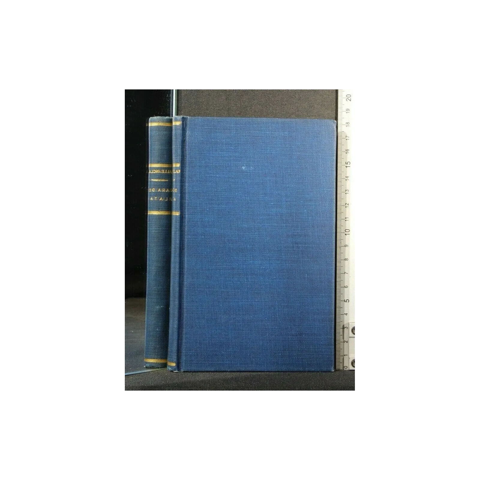 CARA DE PLATA COMEDIA BARBARA